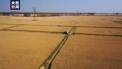 农业农村部:我国将确保水稻产量稳定在2亿吨以上