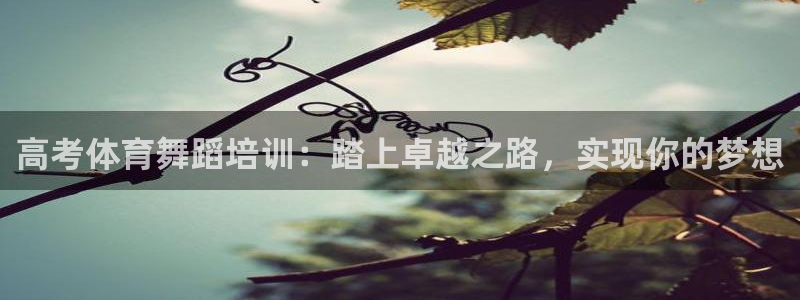 欧陆娱乐：高考体育舞蹈培训：踏上卓越之路，实现你的梦