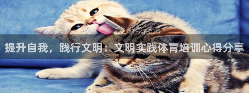 欧陆论坛：提升自我，践行文明：文明实践体育培训心得分