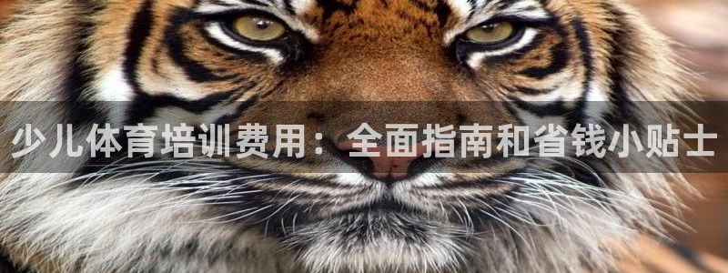 欧陆娱乐怎么注册会员：少儿体育培训费用：全面指南和省