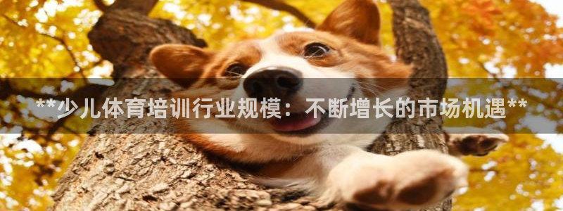 欧陆娱乐计划app官方正版安装下载：**少儿体育培训