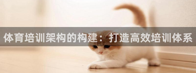 欧陆娱乐共创美好时刻：体育培训架构的构建：打造高效培