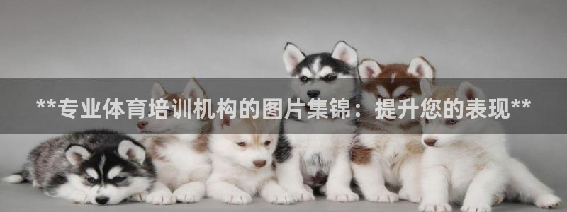 重庆欧陆娱乐有限公司：**专业体育培训机构的图片集锦