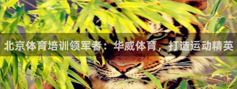欧陆娱乐百科大全