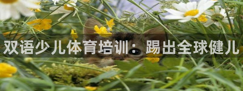 欧陆娱乐怎么注册会员账号：双语少儿体育培训：踢出全球