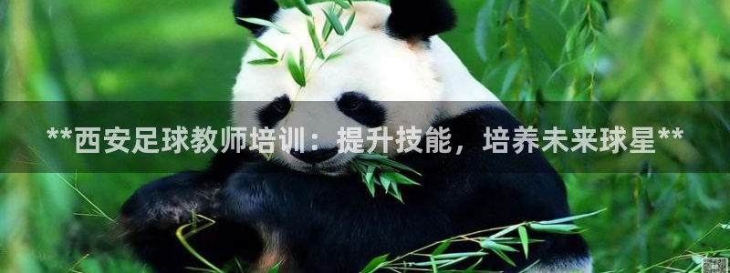 欧陆娱乐怎么注册账号啊：**西安足球教师培训：提升技