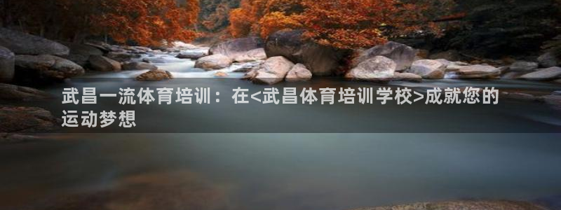 欧陆娱乐挂机怎么玩的：武昌一流体育培训：在<武昌体育