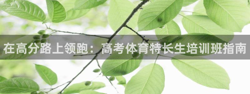 欧陆娱乐计划预测软件下载：在高分路上领跑：高考体育特