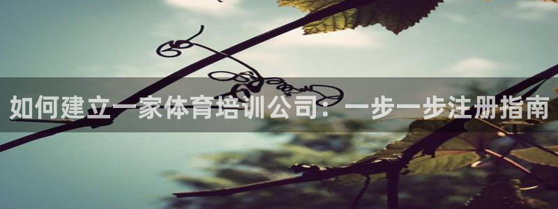 欧陆娱乐是真的假的：如何建立一家体育培训公司：一步一