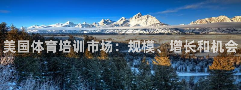 欧陆娱乐注册平台：美国体育培训市场：规模、增长和机会