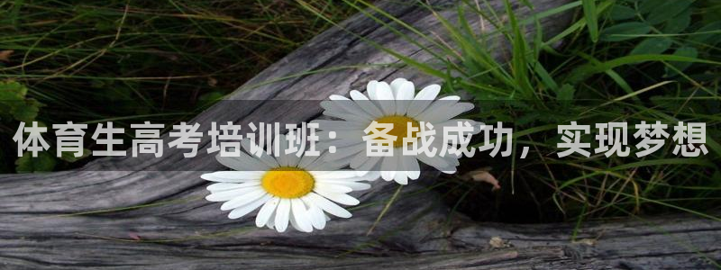 欧陆娱乐图片：体育生高考培训班：备战成功，实现梦想