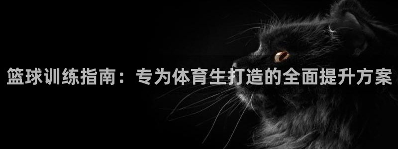 欧陆娱乐平台登陆地址是什么样的：篮球训练指南：专为体