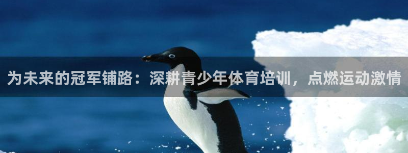 欧陆娱乐共创美好时刻：为未来的冠军铺路：深耕青少年体