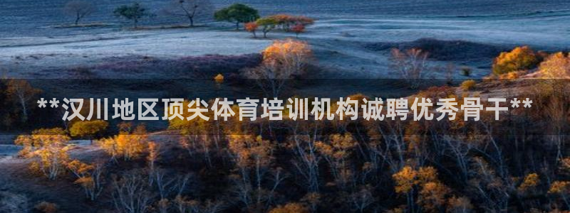 欧陆是什么平台