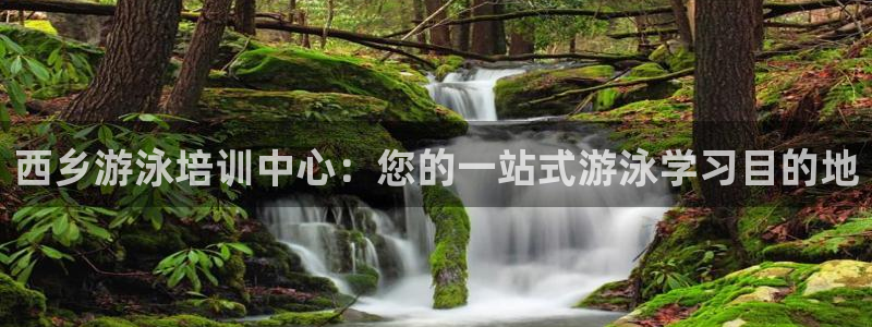欧陆娱乐登录平台：西乡游泳培训中心：您的一站式游泳学