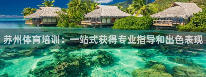 欧陆娱乐登录平台：苏州体育培训：一站式获得专业指导和