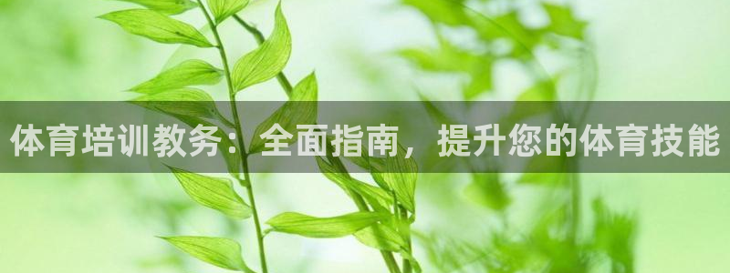 欧陆娱乐游戏特色：体育培训教务：全面指南，提升您的体
