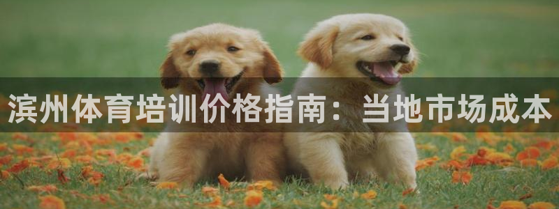 欧陆娱乐测速网站：滨州体育培训价格指南：当地市场成本