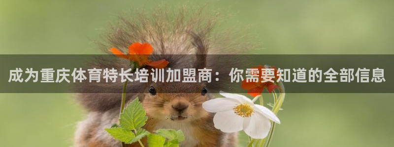 欧陆娱乐app攻略：成为重庆体育特长培训加盟商：你需