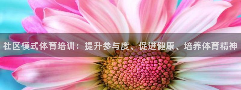 欧陆娱乐简介：社区模式体育培训：提升参与度、促进健康