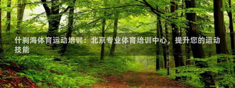 欧陆娱乐挂机怎么玩的：什刹海体育运动培训：北京专业体