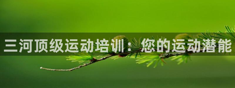 欧陆娱乐官网下载安装手机版：三河顶级运动培训：您的运