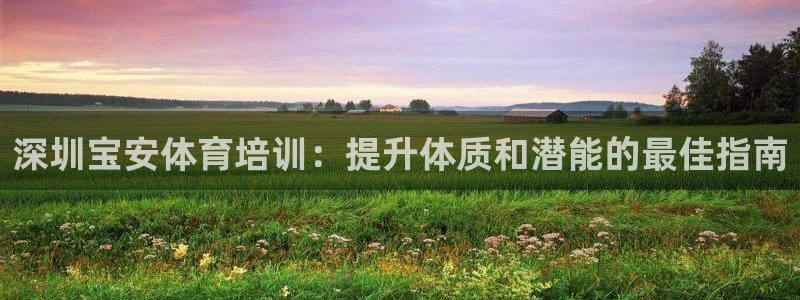 欧陆娱乐总代理电话：深圳宝安体育培训：提升体质和潜能