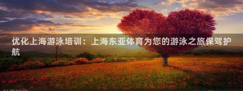 欧陆娱乐测速网站：优化上海游泳培训：上海东亚体育为您