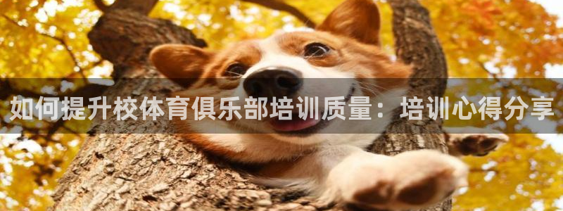 欧陆娱乐官网：如何提升校体育俱乐部培训质量：培训心得