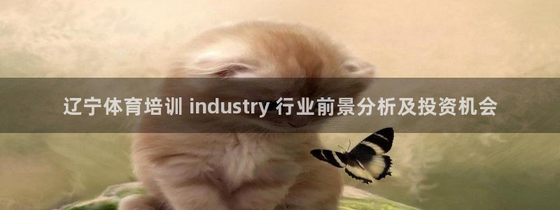 欧陆娱乐可以退钱吗安全吗：辽宁体育培训 indust