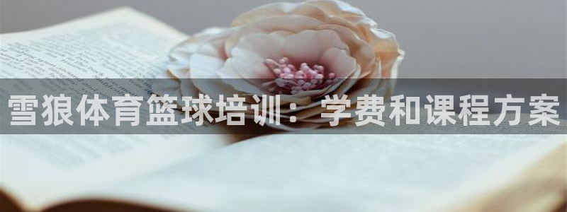 欧陆娱乐合法吗：雪狼体育篮球培训：学费和课程方案