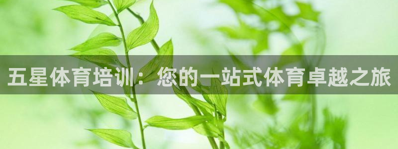 欧陆娱乐简介：五星体育培训：您的一站式体育卓越之旅