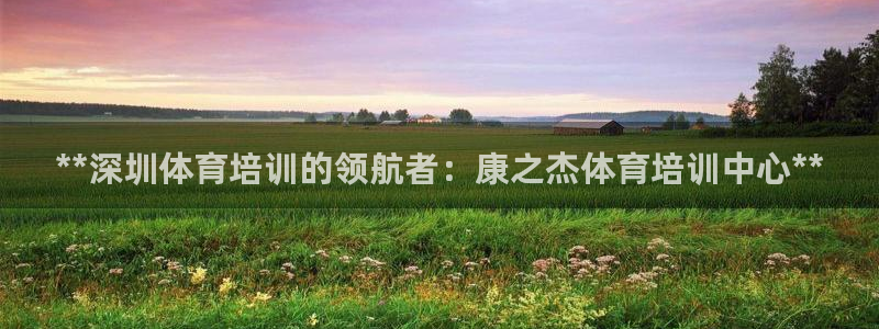 欧陆娱乐登录测速怎么关闭：**深圳体育培训的领航者：