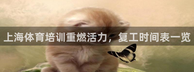 欧陆娱乐图片：上海体育培训重燃活力，复工时间表一览