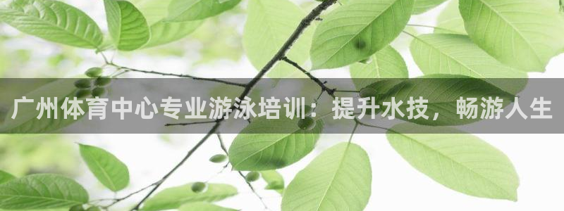 欧陆注册码：广州体育中心专业游泳培训：提升水技，畅游