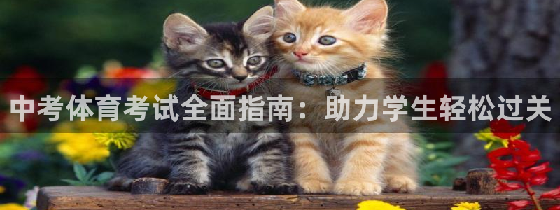 欧陆娱乐登录测速软件：中考体育考试全面指南：助力学生