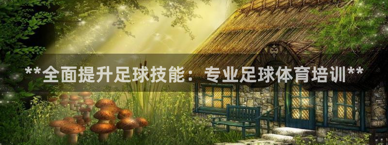 欧陆娱乐app攻略大全：**全面提升足球技能：专业足