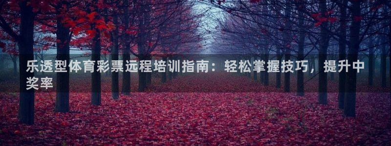 欧陆娱乐登录平台下载：乐透型体育彩票远程培训指南：轻