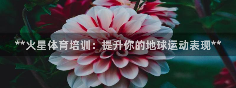 欧陆娱乐app下载安装：**火星体育培训：提升你的地