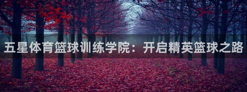 欧陆娱乐会员：五星体育篮球训练学院：开启精英篮球之路