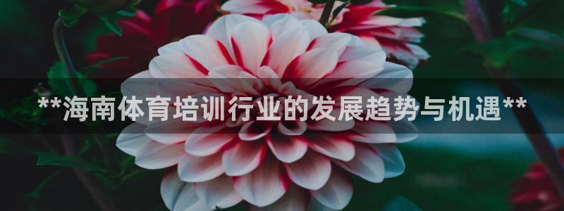 欧陆娱乐有限公司：**海南体育培训行业的发展趋势与机