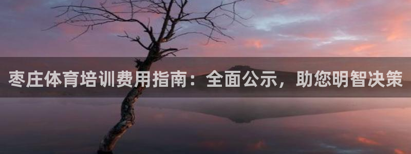 欧陆娱乐平台登录不上去怎么回事：枣庄体育培训费用指南