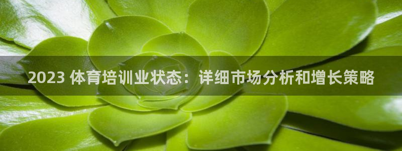 欧陆娱乐突然登录不了了：2023 体育培训业状态：详