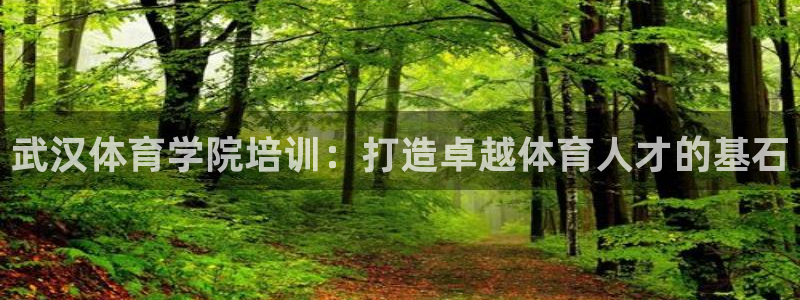 欧陆娱乐注册链接怎么弄的：武汉体育学院培训：打造卓越