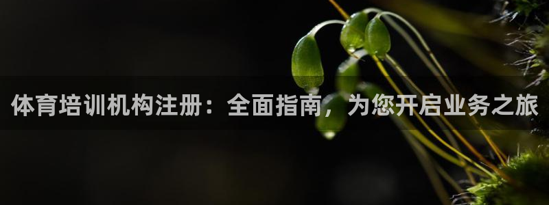 欧陆娱乐官方网站：体育培训机构注册：全面指南，为您开