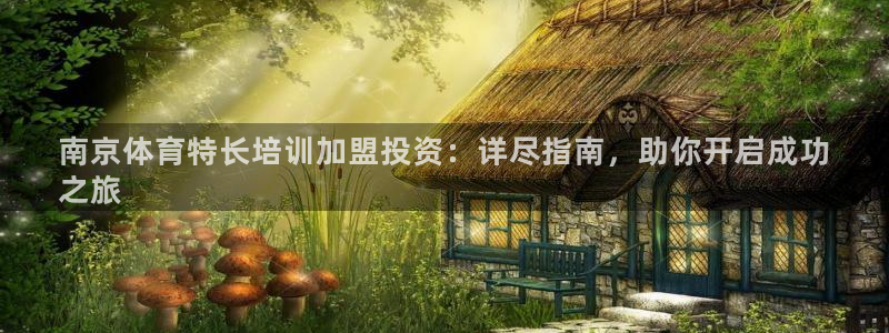 欧陆娱乐游戏：南京体育特长培训加盟投资：详尽指南，助