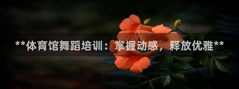 欧陆娱乐是真的假的：**体育馆舞蹈培训：掌握动感，释