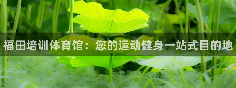 欧陆娱乐打什么方案：福田培训体育馆：您的运动健身一站