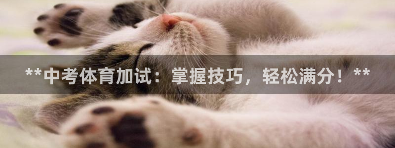 欧陆娱乐官网首页：**中考体育加试：掌握技巧，轻松满