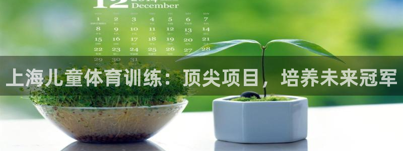 欧陆娱乐共创美好时刻：上海儿童体育训练：顶尖项目，培